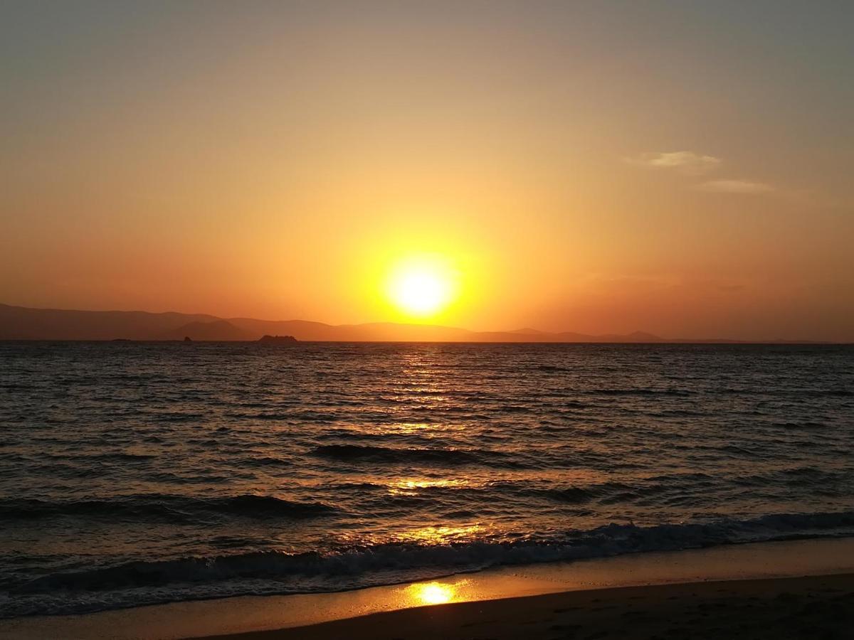 Amodari Studios On The Beach Plaka  Ngoại thất bức ảnh